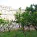 Il piccolo Colosseo  stato ultimato nel 1982 e al suo interno si trova un agrumeto con alberi di limoni, arance e mandarini